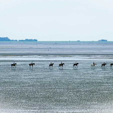 Am Sahlenburger As10