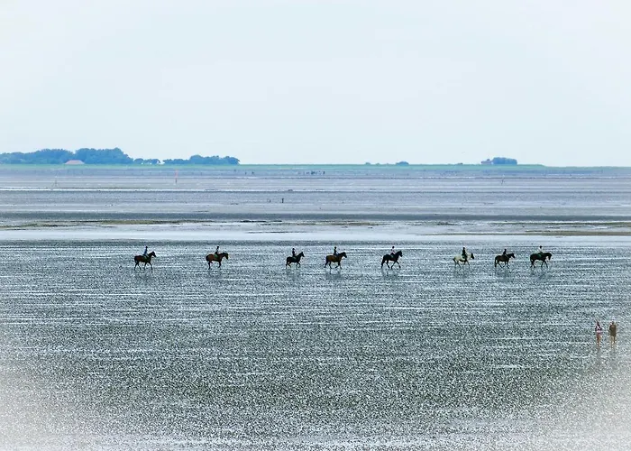 Am Sahlenburger As10